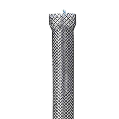 fully covered stent from mte