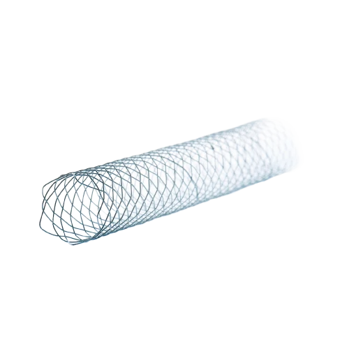 biliary-stents-transparent