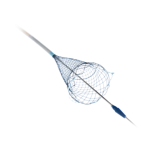 colon-stents-transparent