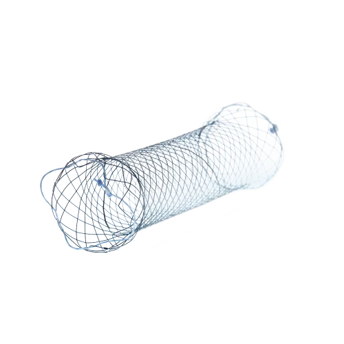 Duodenal stents