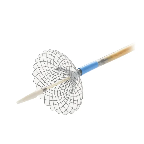 Pancreatic Stents