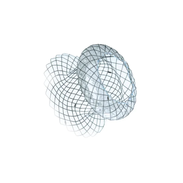 Pancreatic Stents